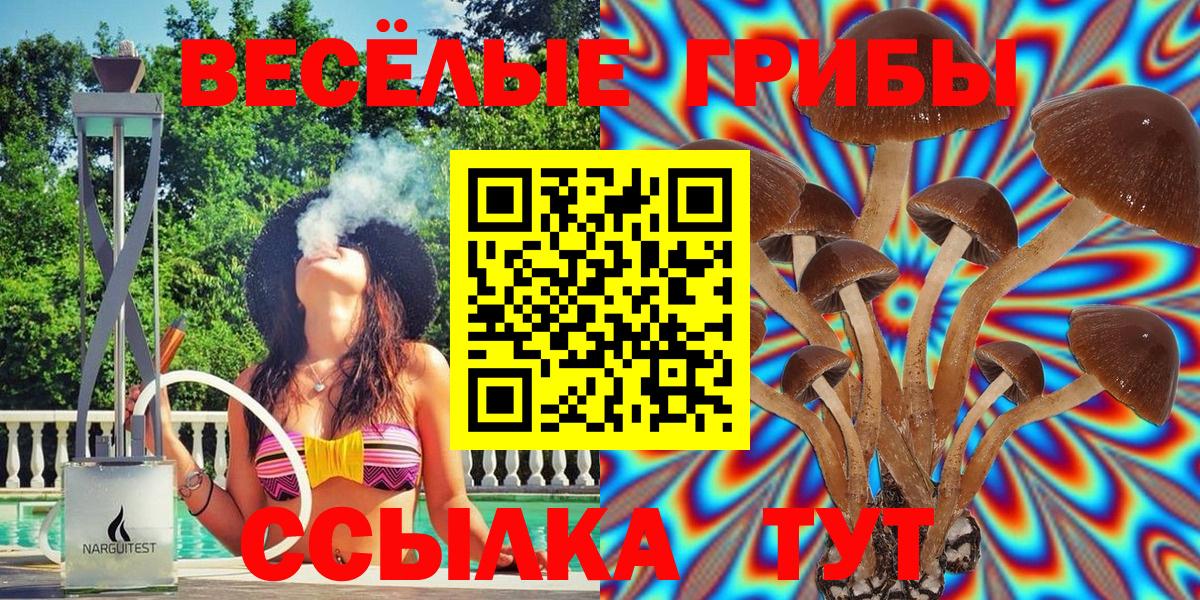 Псилоцибиновые грибы Magic Shrooms Златоуст